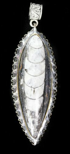 Fossil Orthoceras Pendant #46949